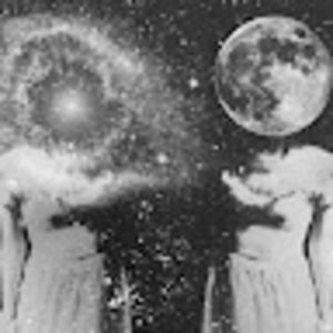 Meet your Posher, Jessie